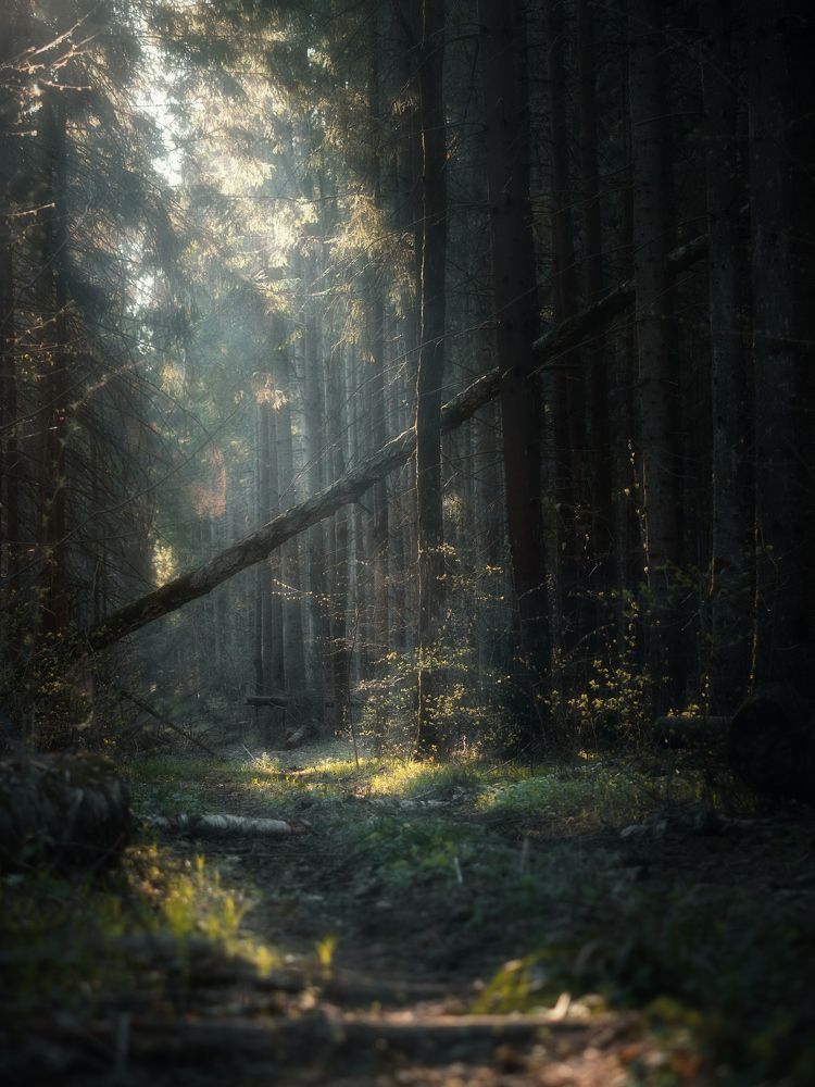 Photograph by Мозжухин Максим