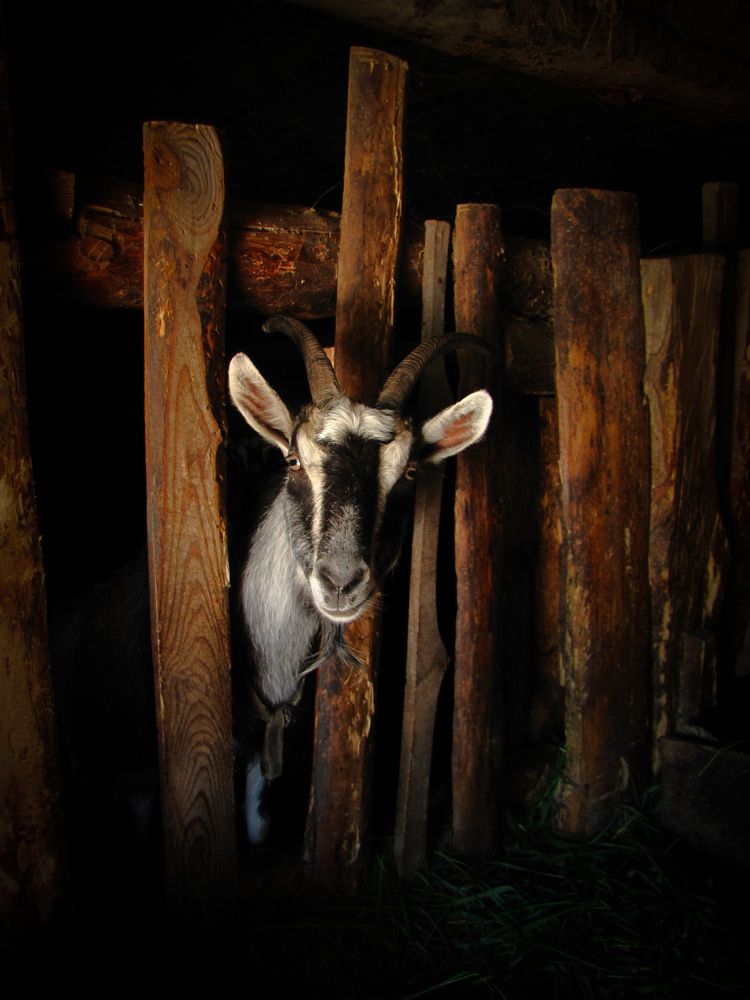 Photograph by Игорь Сухаревич