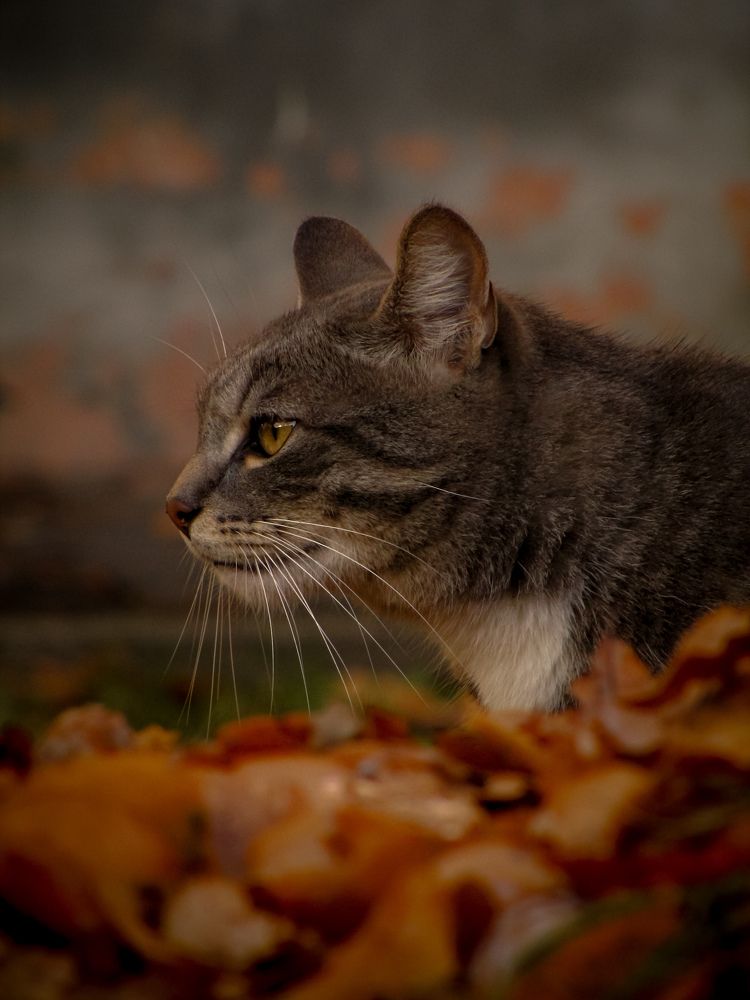 Photograph by Игорь Сухаревич