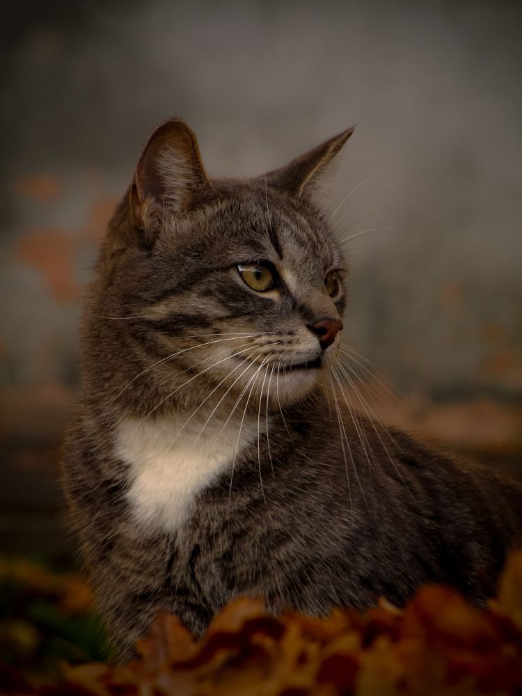 Photograph by Игорь Сухаревич