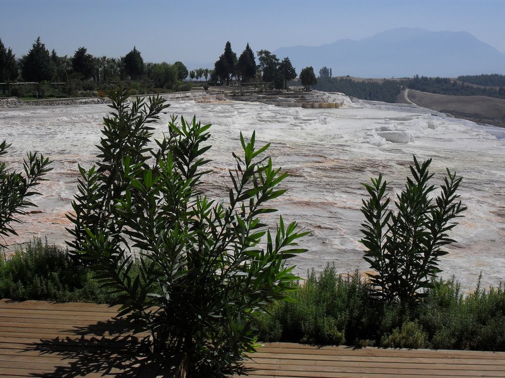 Photograph by Наталия