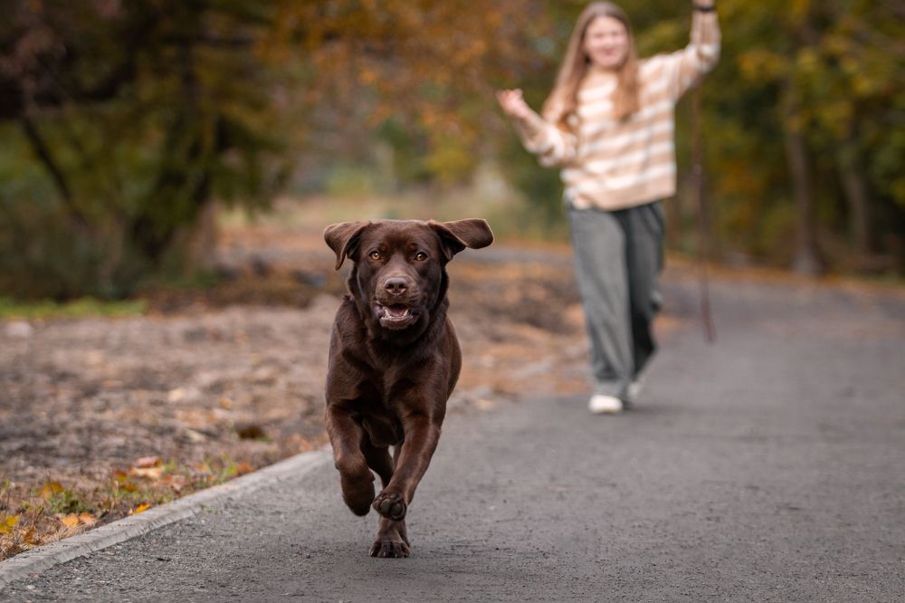 Фотография автора Tatiana Piskun