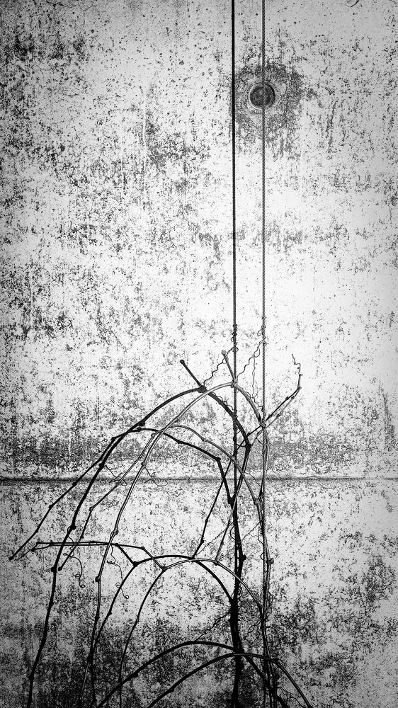 Photograph by Aleksei Degtjarjov