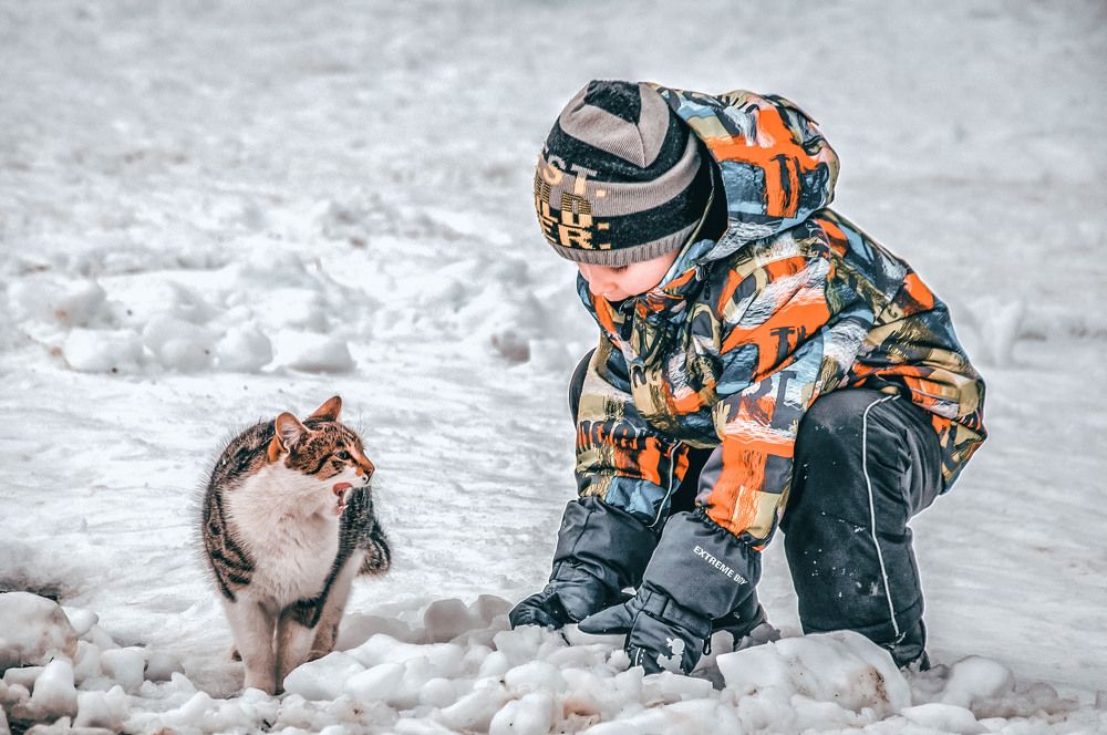 Photograph by Виталий Каргопольцев