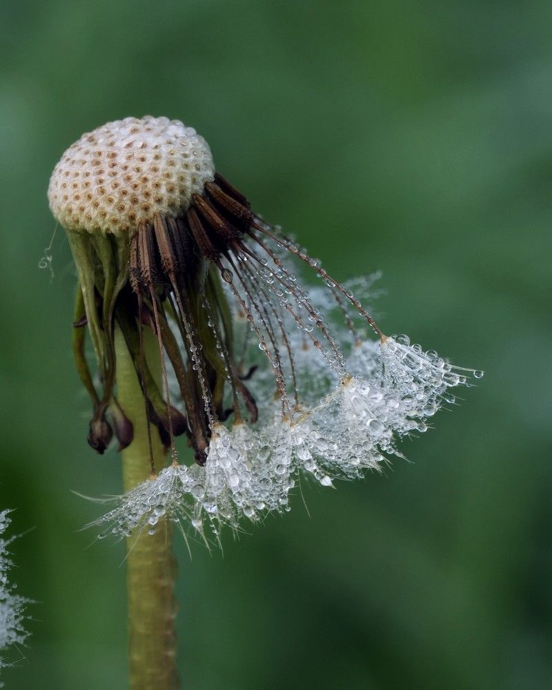 Фотография автора Nastasya Sablina