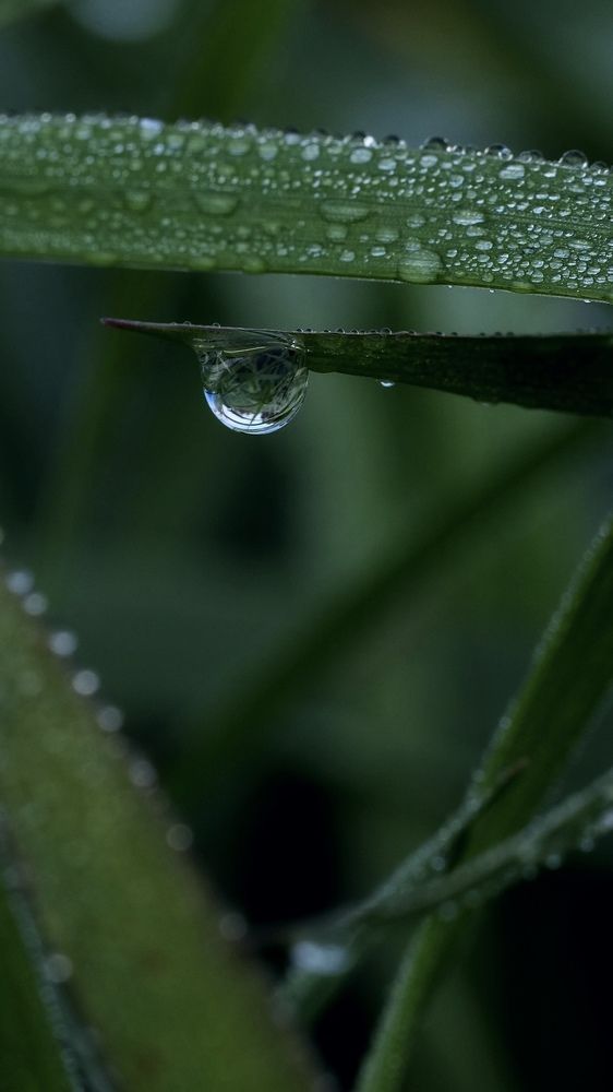 Фотография автора Nastasya Sablina