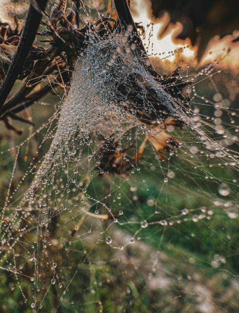 Photograph by Виктория Лаур