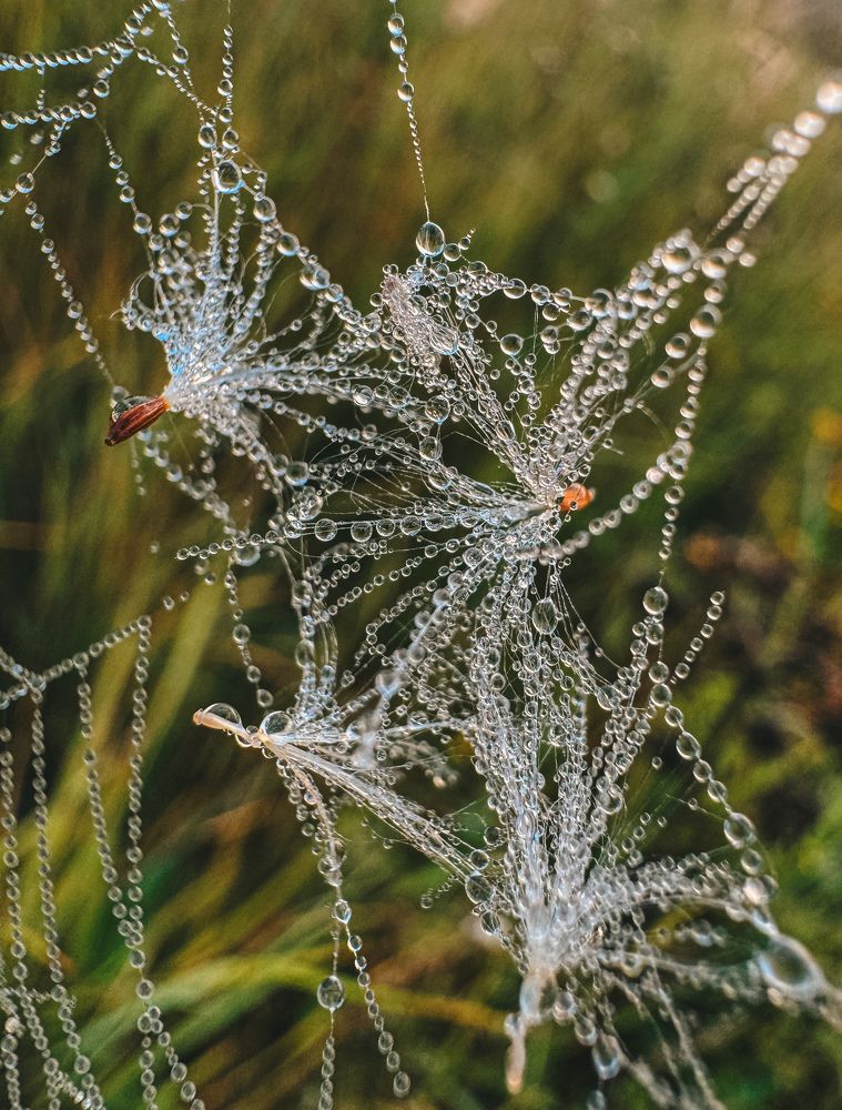 Photograph by Виктория Лаур