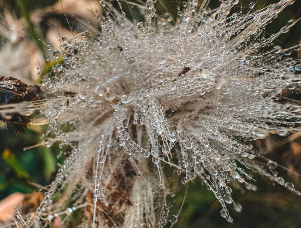 Photograph by Виктория Лаур