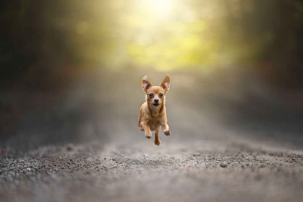 Фотография автора Alanis Miljour Carlos