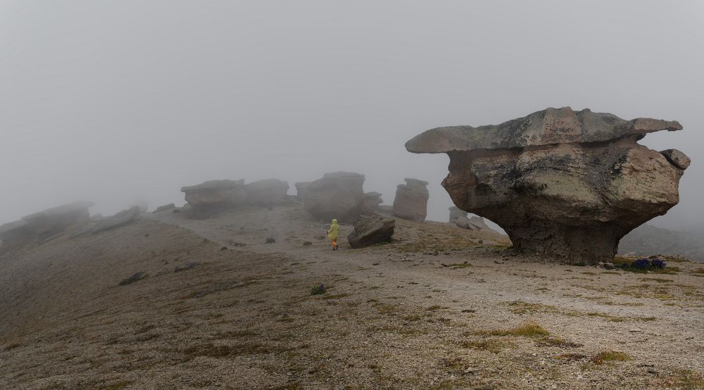 Photograph by Валерий Одинцов