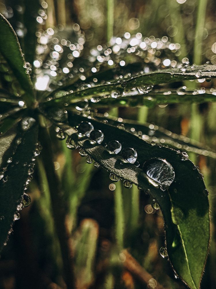 Photograph by Светлана Фоменко