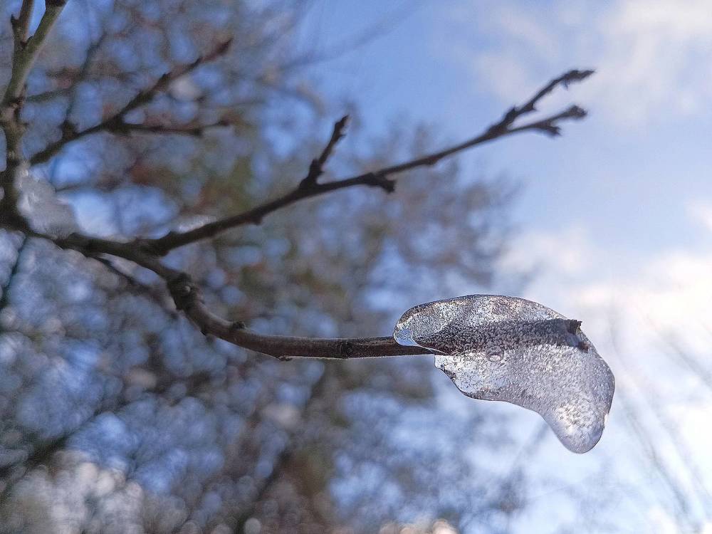 Photograph by Светлана Логинова