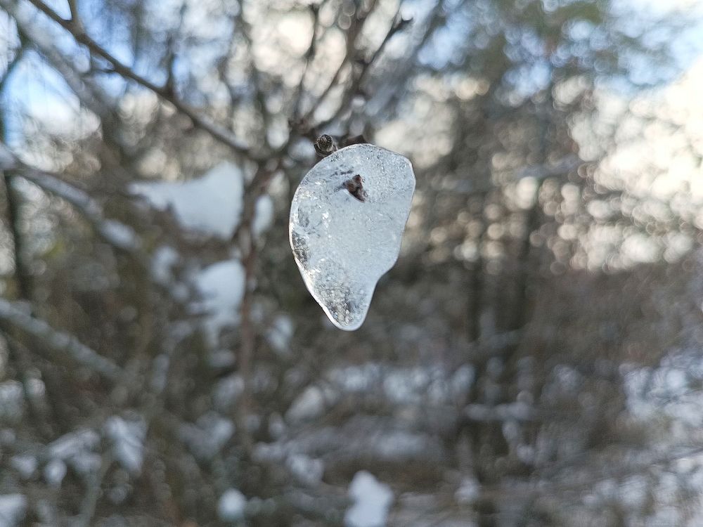 Photograph by Светлана Логинова