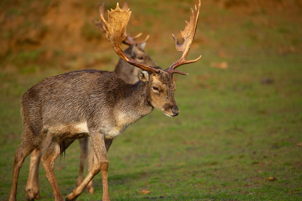 Photograph by alvaro berben marin