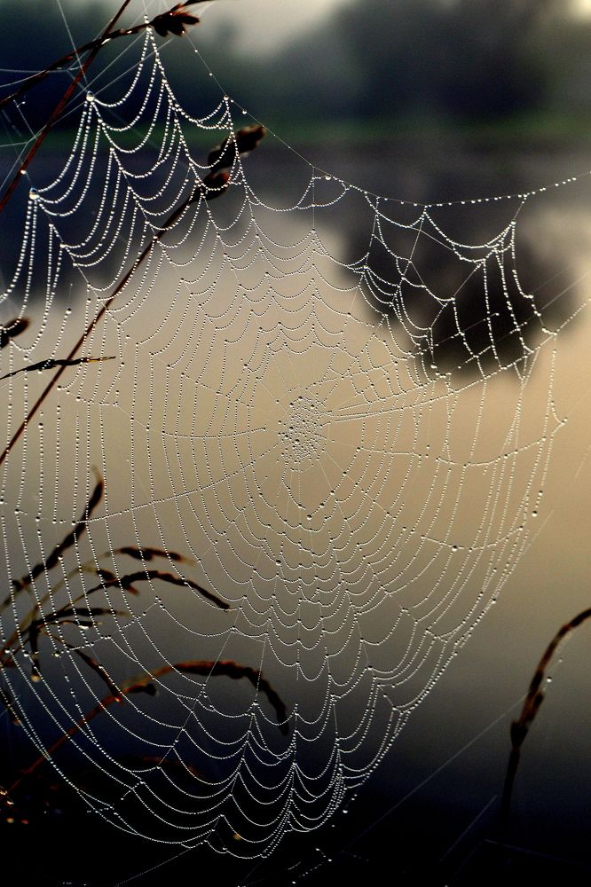 Photograph by Москалев Андрей