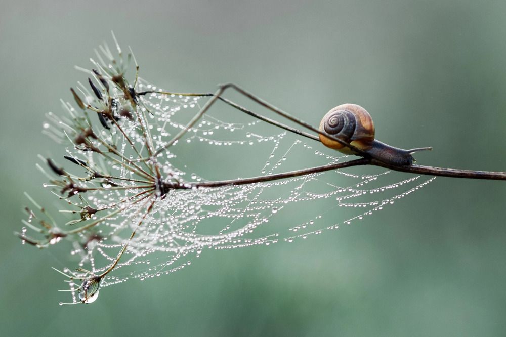 Photograph by Екатерина Леонова