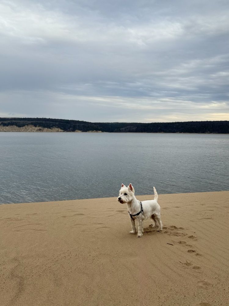 Photograph by Ольга Гаязова