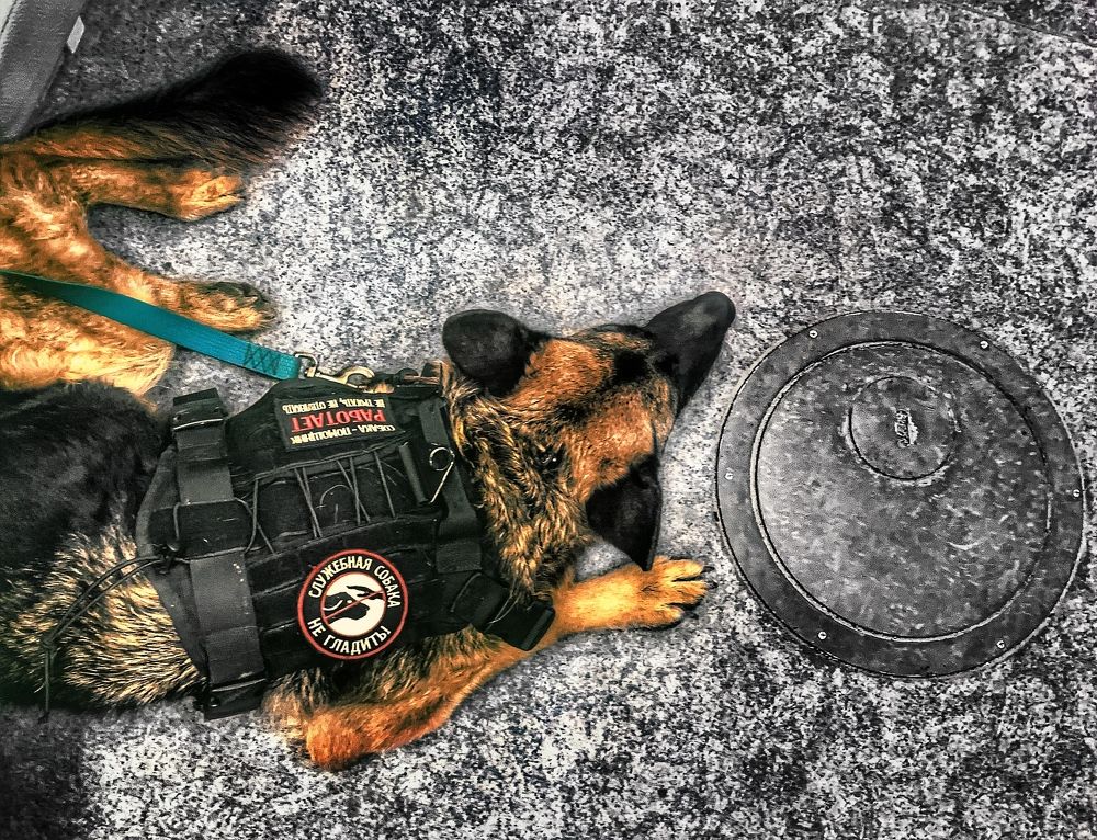 Photograph by Сергей