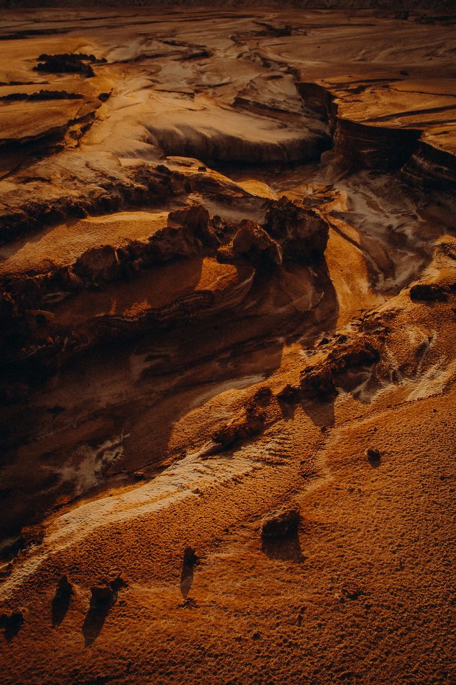 Фотография автора Алиса Исаева