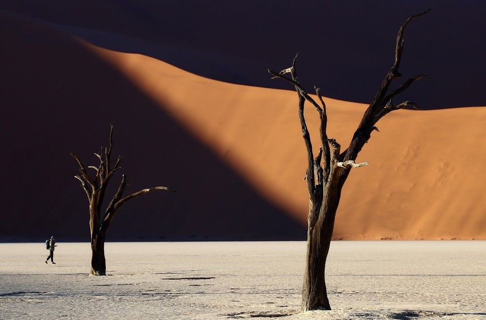 Photograph by Диана Жагрина