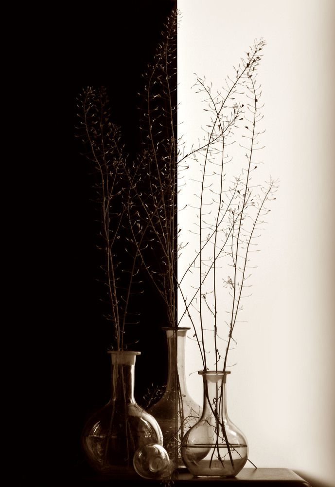 Photograph by Александр Зарх