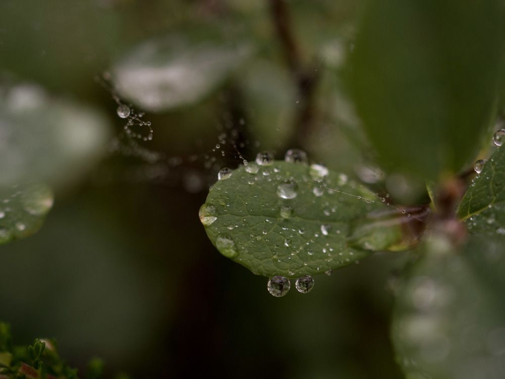 Photograph by Шейко Анна