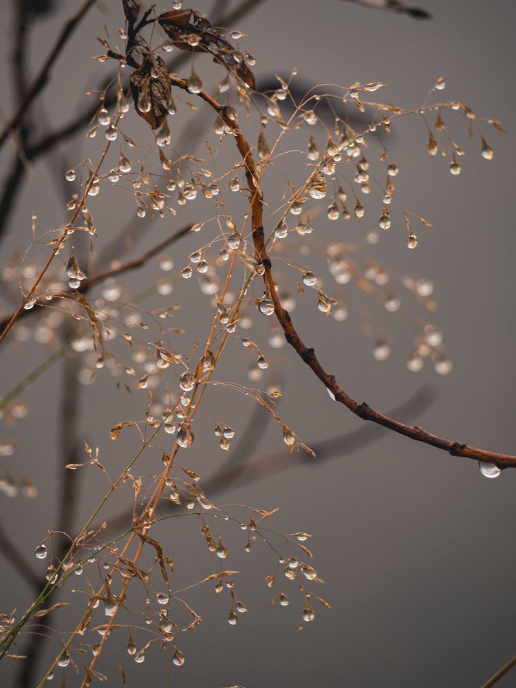 Photograph by Шейко Анна