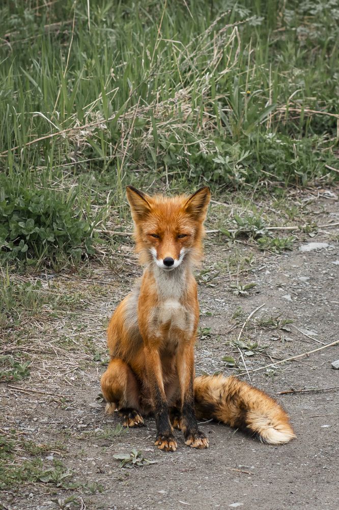 Photograph by Анастасия Рубан