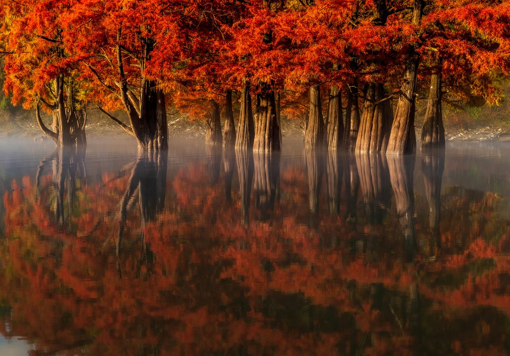 Photograph by Валерий Одинцов