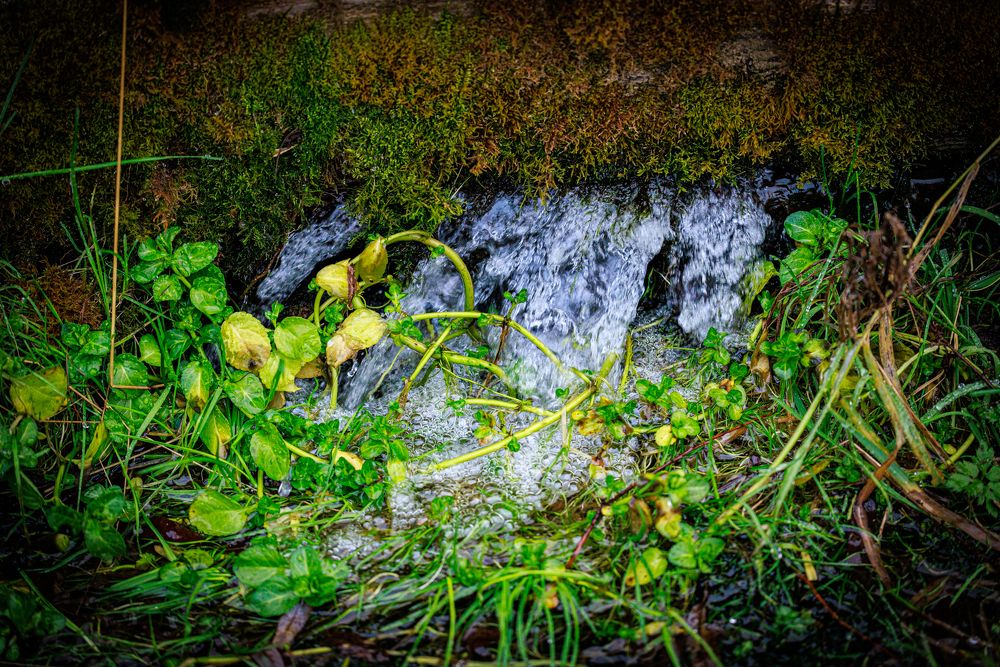 Photograph by Сергей Шестов