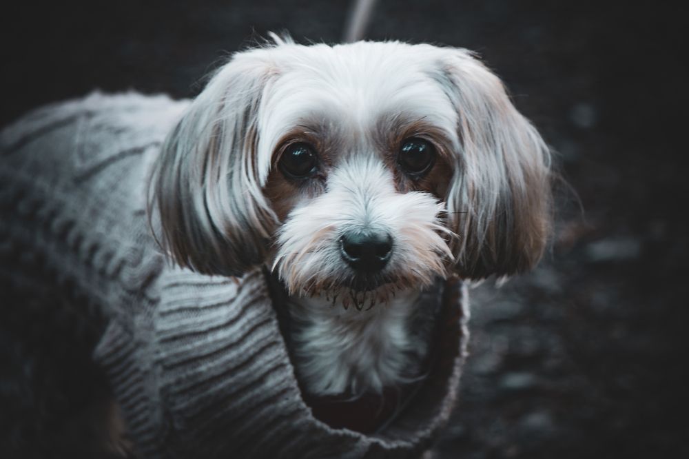 Photograph by Agnieszka Mika