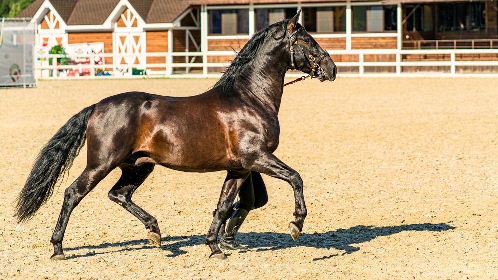 Photograph by Галина Искандарова