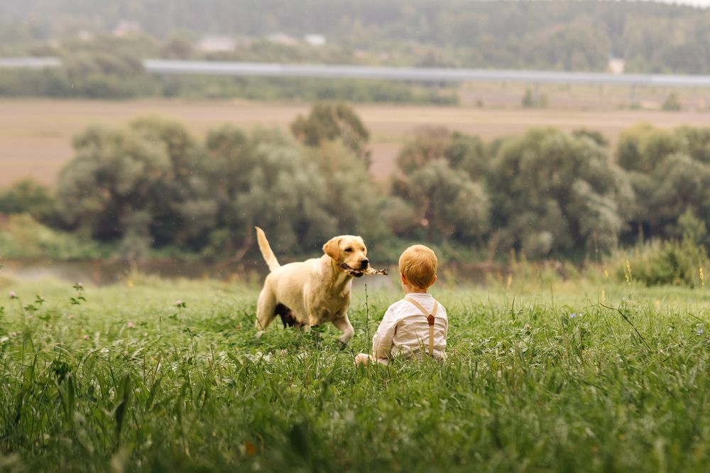 Photograph by Любовь Павленкова