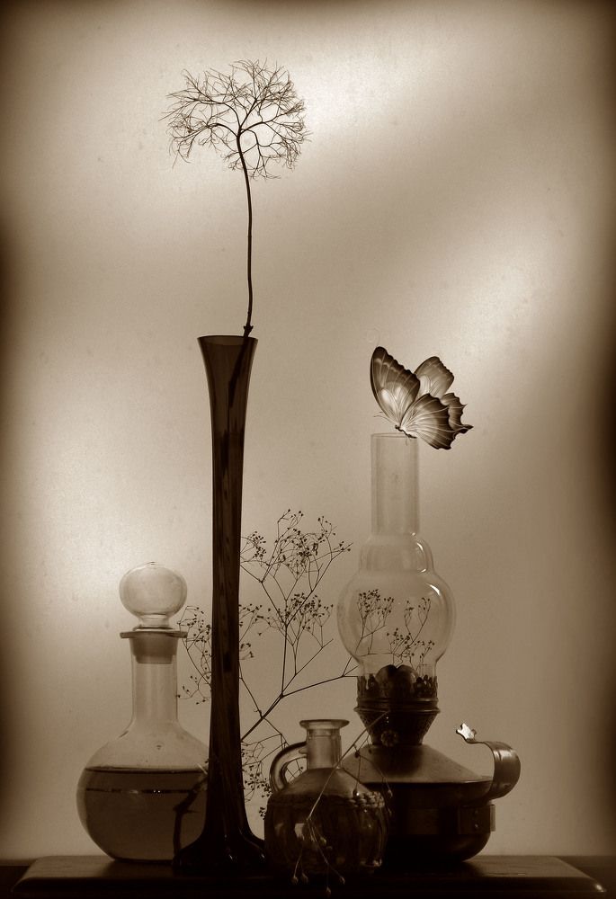 Photograph by Александр Зарх