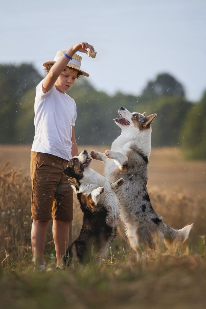 Photograph by Мария Комратова