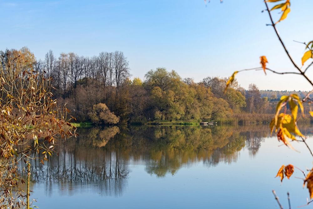 Photograph by Михаил Косолапов