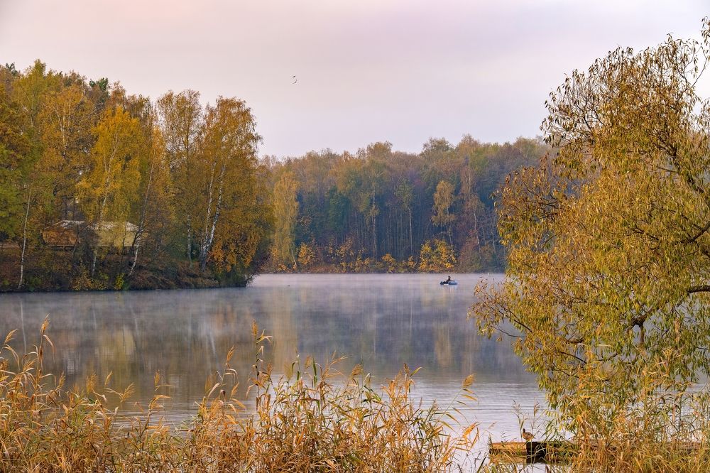 Photograph by Михаил Косолапов