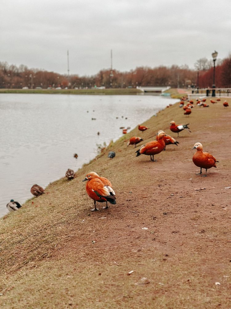 Photograph by Людмила Самсонова