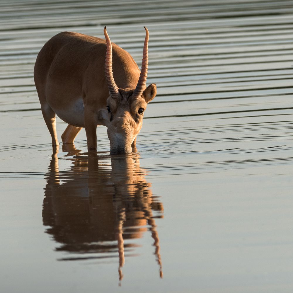 Photograph by Анна Стрелковская