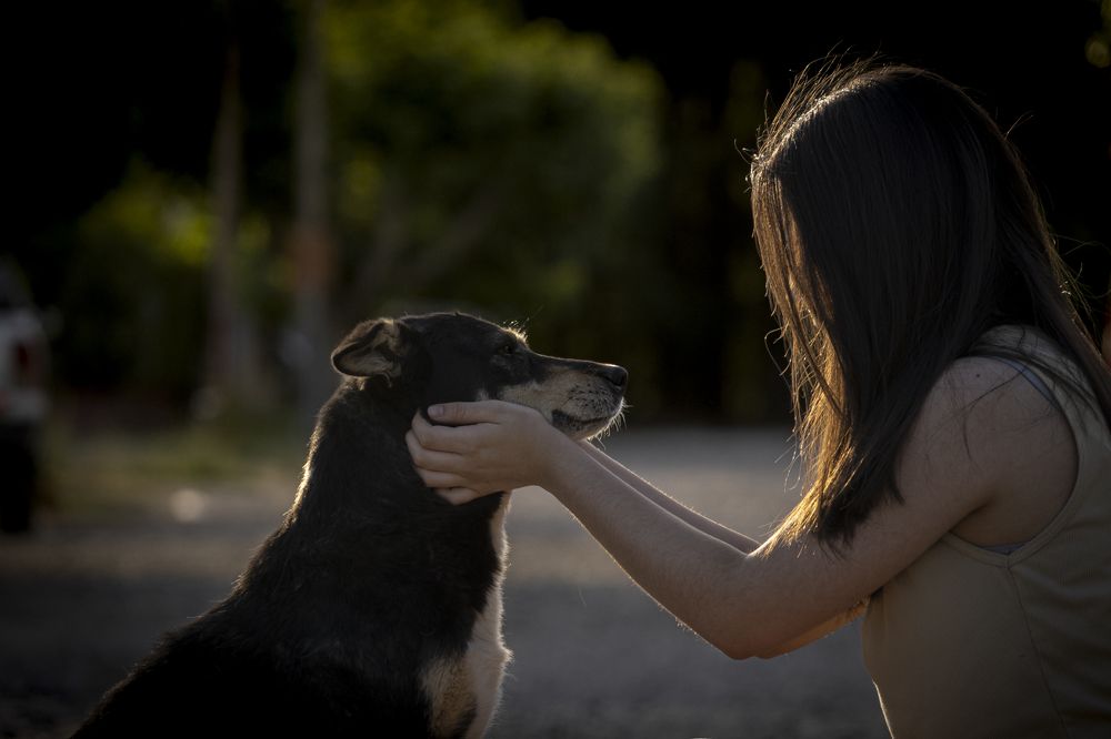 Photograph by VICKY Martinez