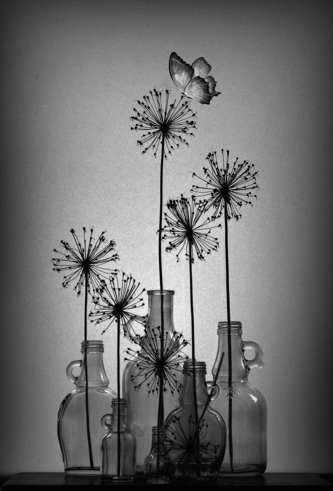 Photograph by Александр Зарх