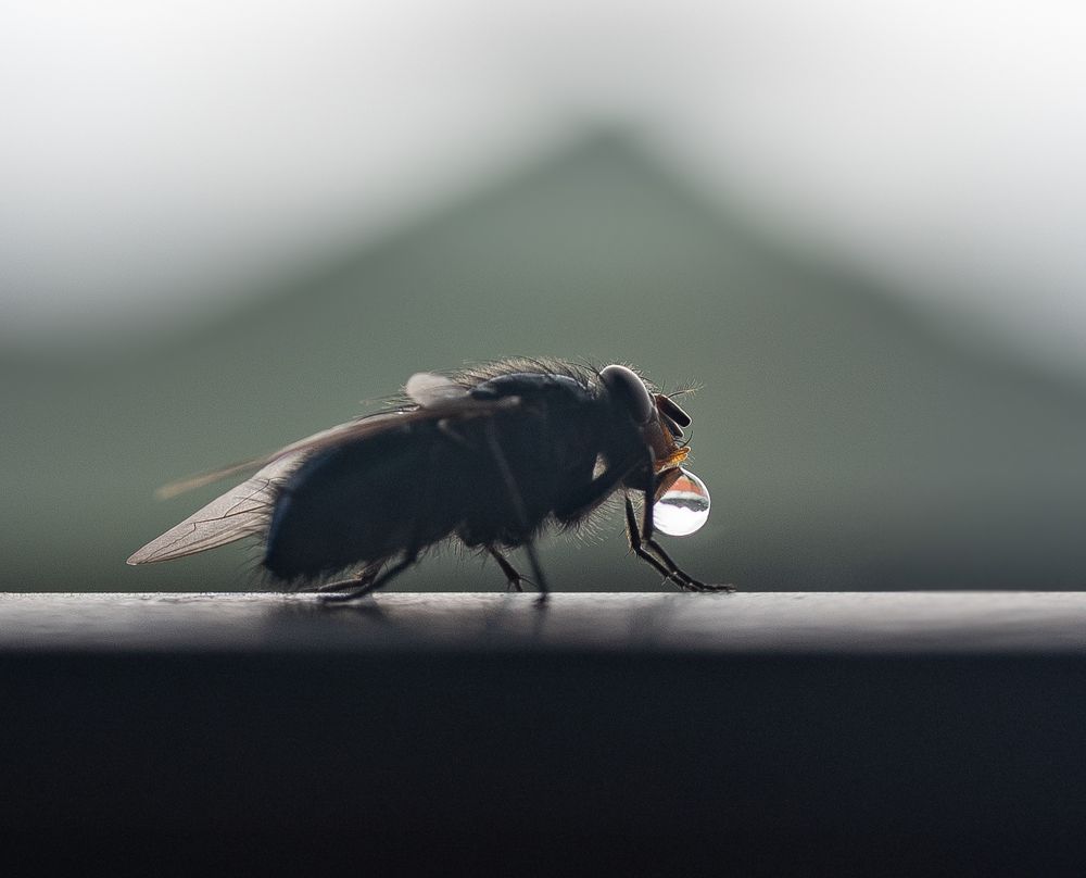 Photograph by Анна Стрелковская