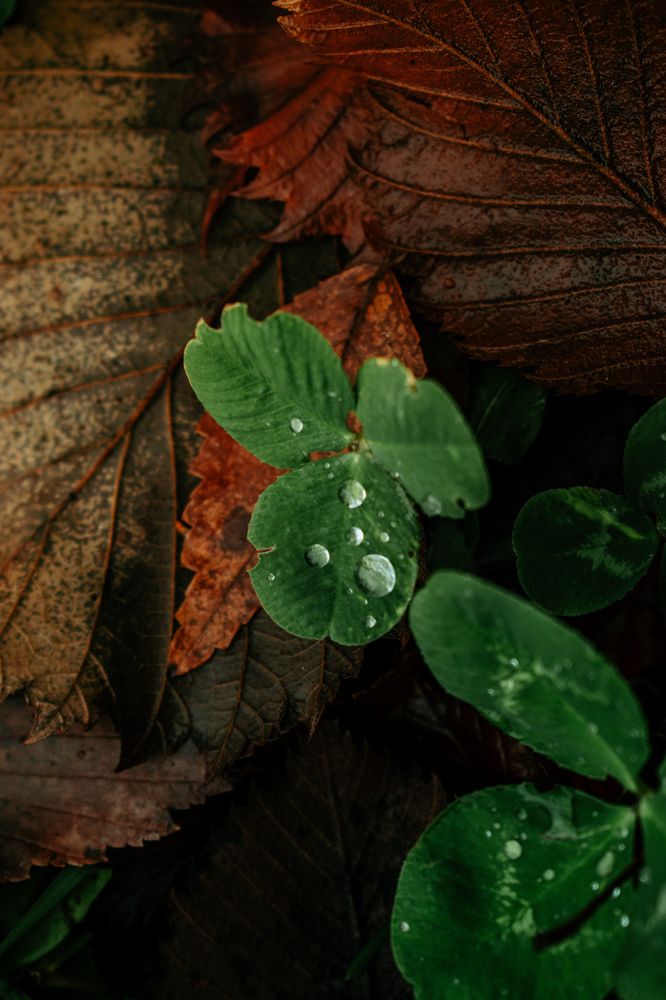 Photograph by Kanat Amre