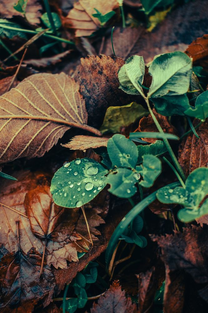 Photograph by Kanat Amre