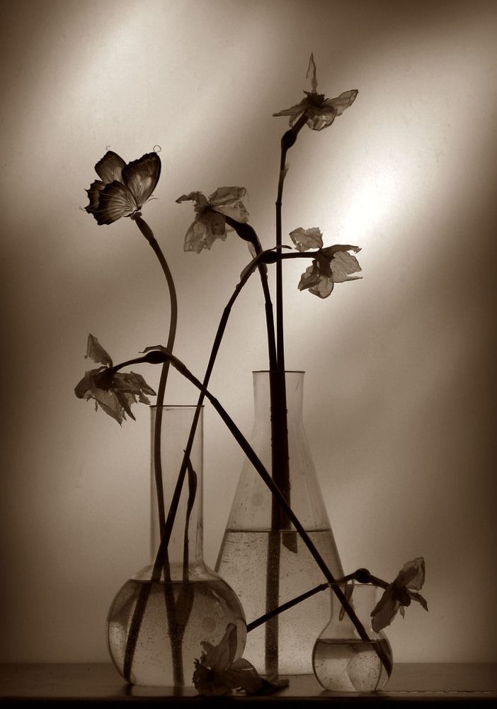 Photograph by Александр Зарх