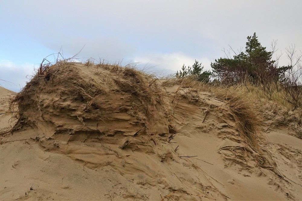 Photograph by jelena konickaja