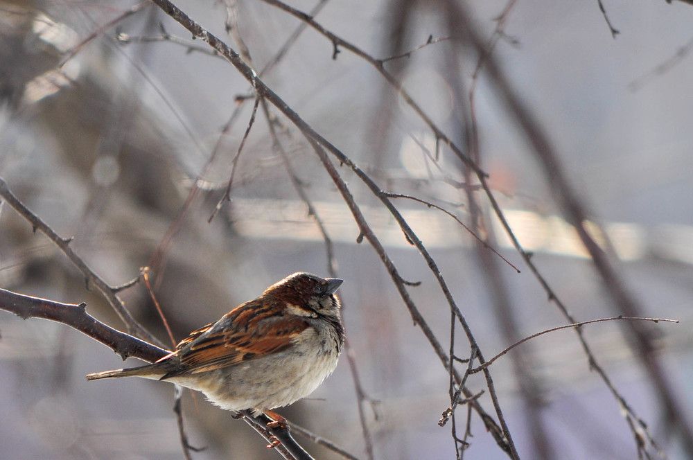 Photograph by Наталья Сорокина