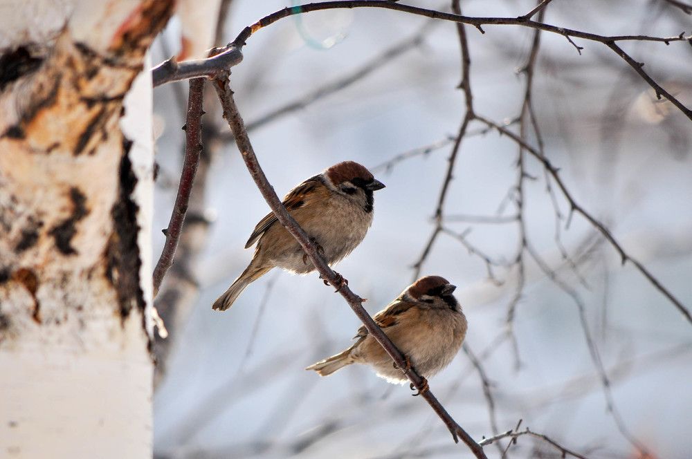 Photograph by Наталья Сорокина