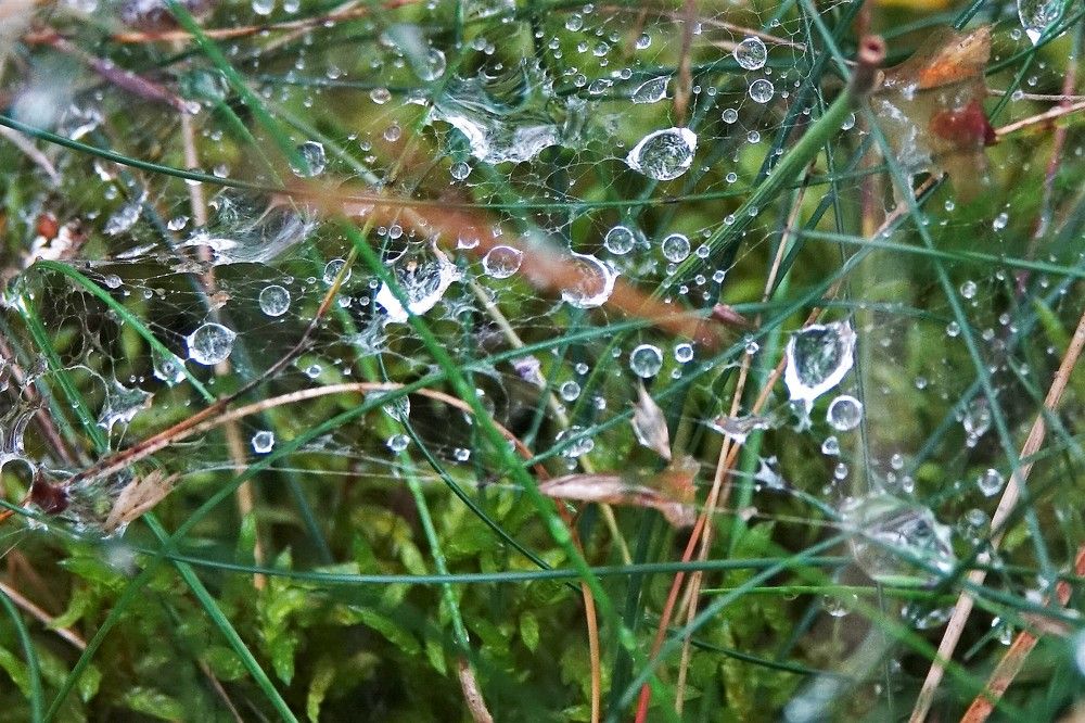 Photograph by jelena konickaja